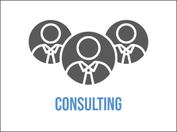 Consulting service